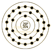 graphic of Copper's shell model
